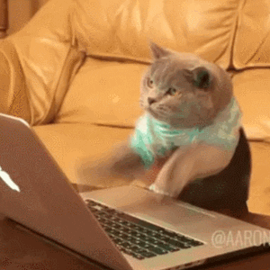 giphy-2